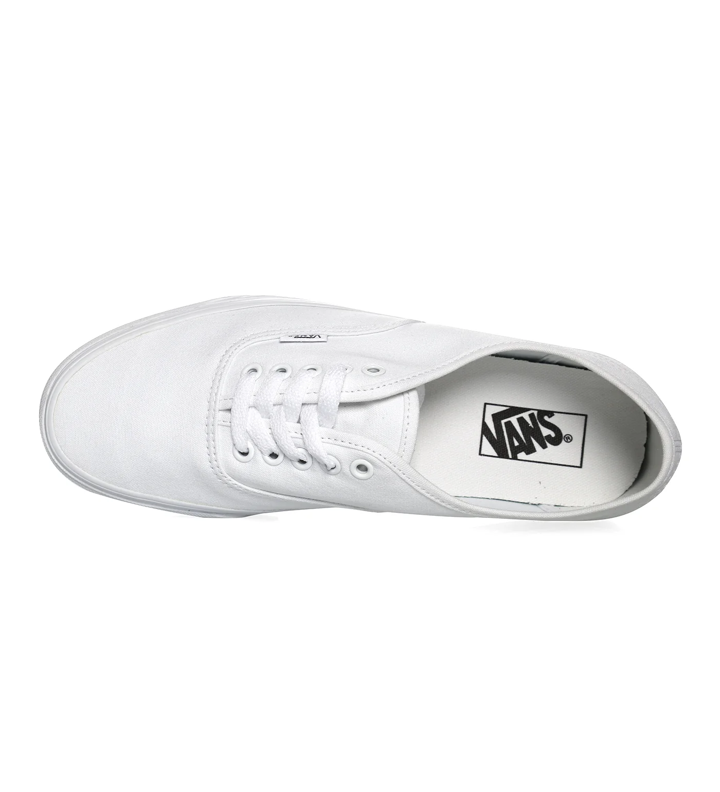Authentic, True White - Image 4
