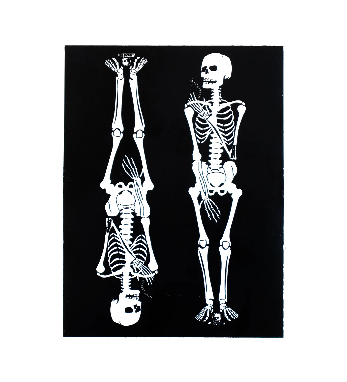 Crystal Ocean Skeleton, Black