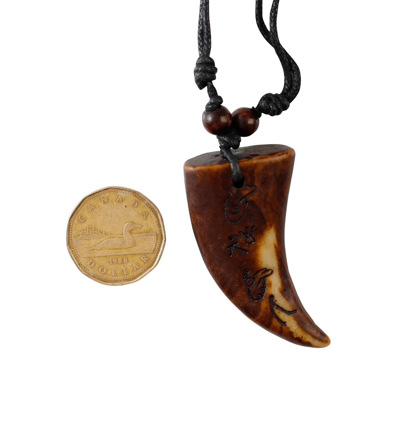 Large Engraved Tooth, Brown/Black (2F) - Image 2