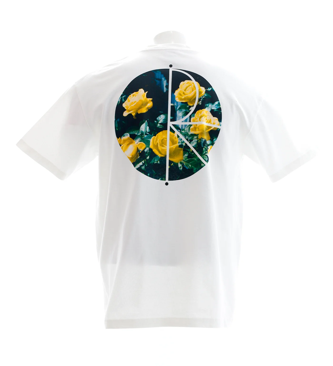 Martas Roses, White - Image 2