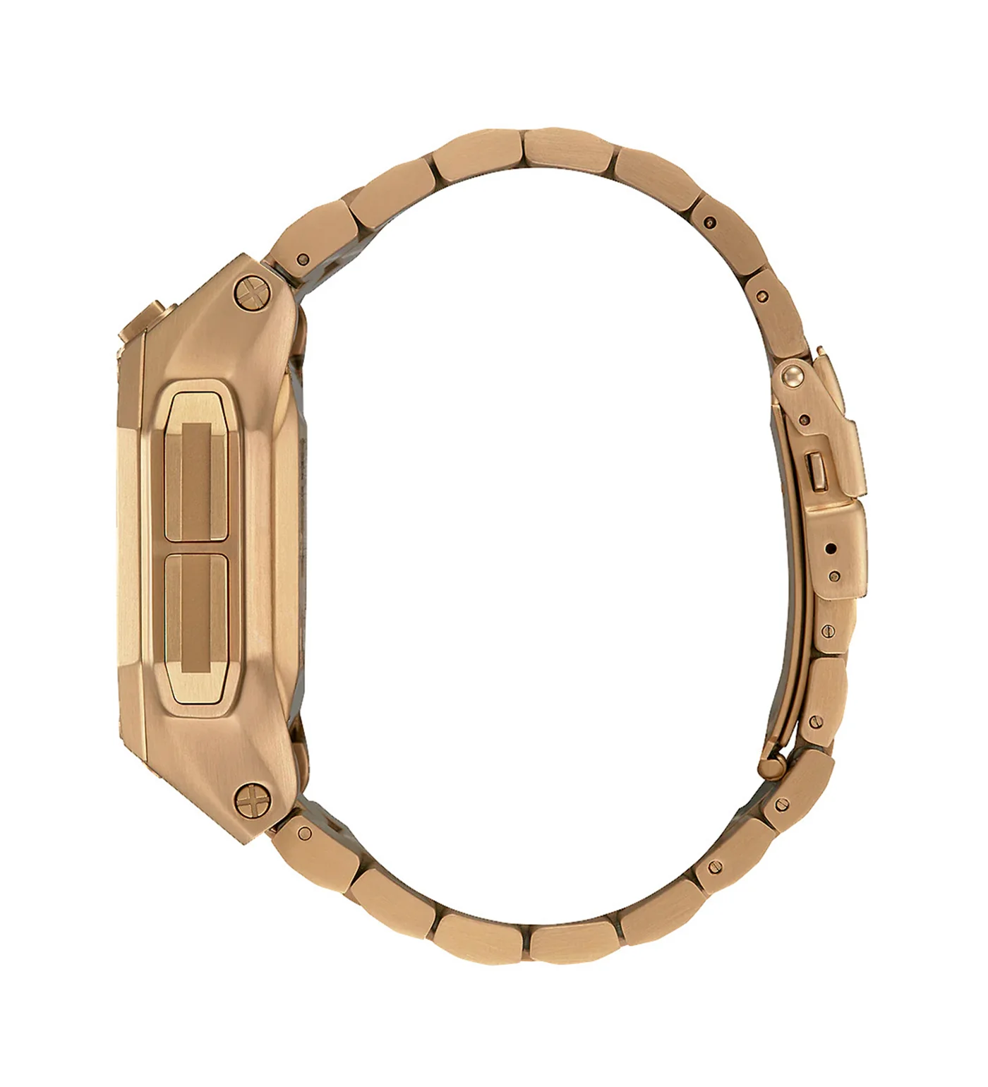 Regulus SS, All Gold - Image 2