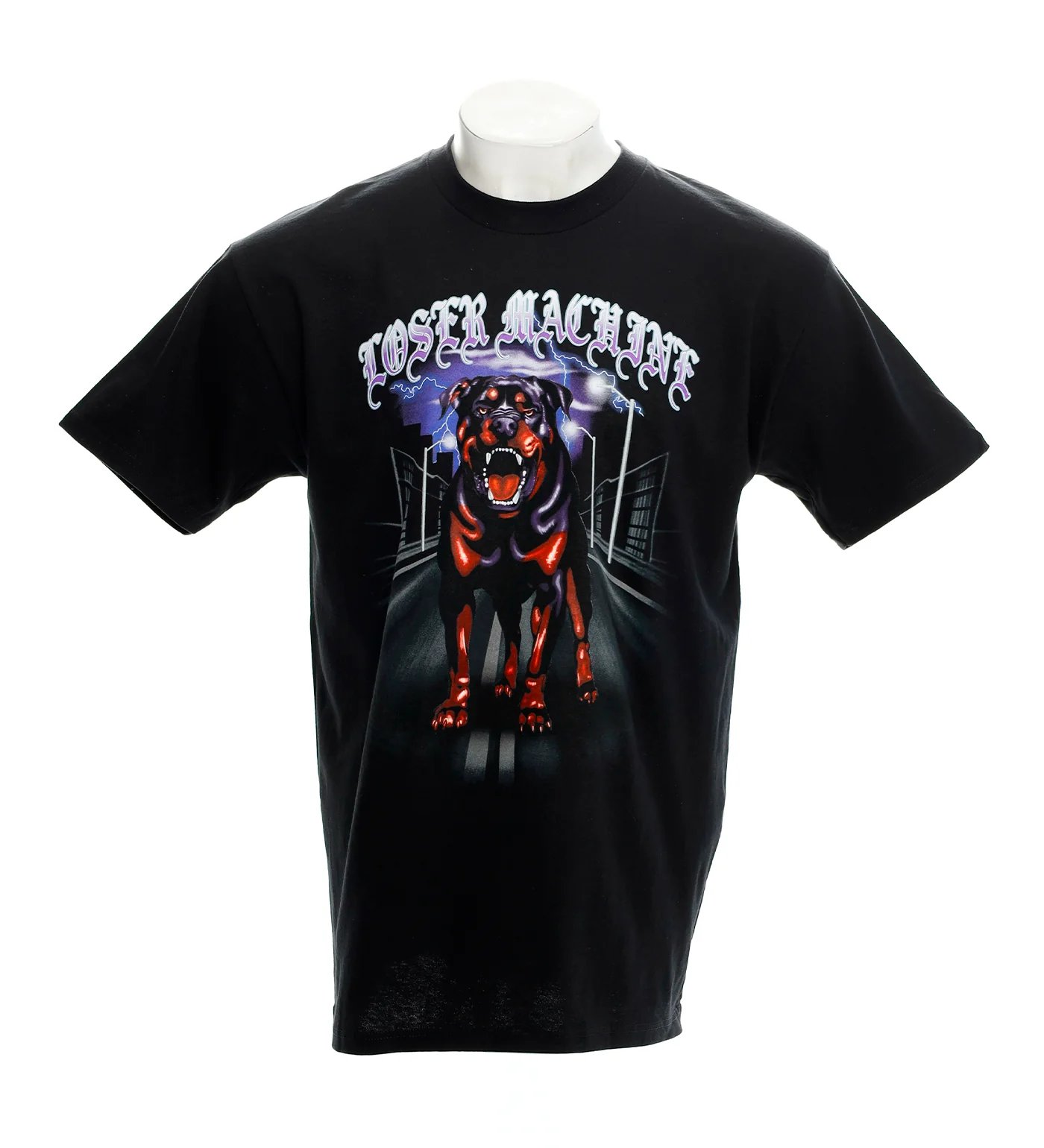 Rottweiler, Black