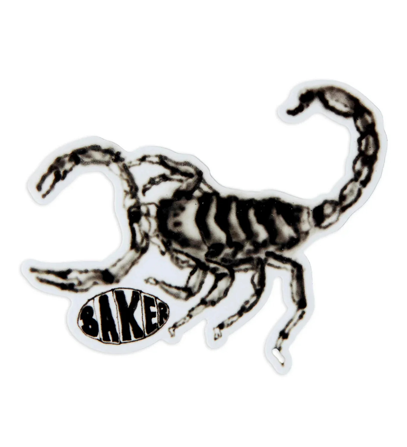 Scorpions, Faded Grey