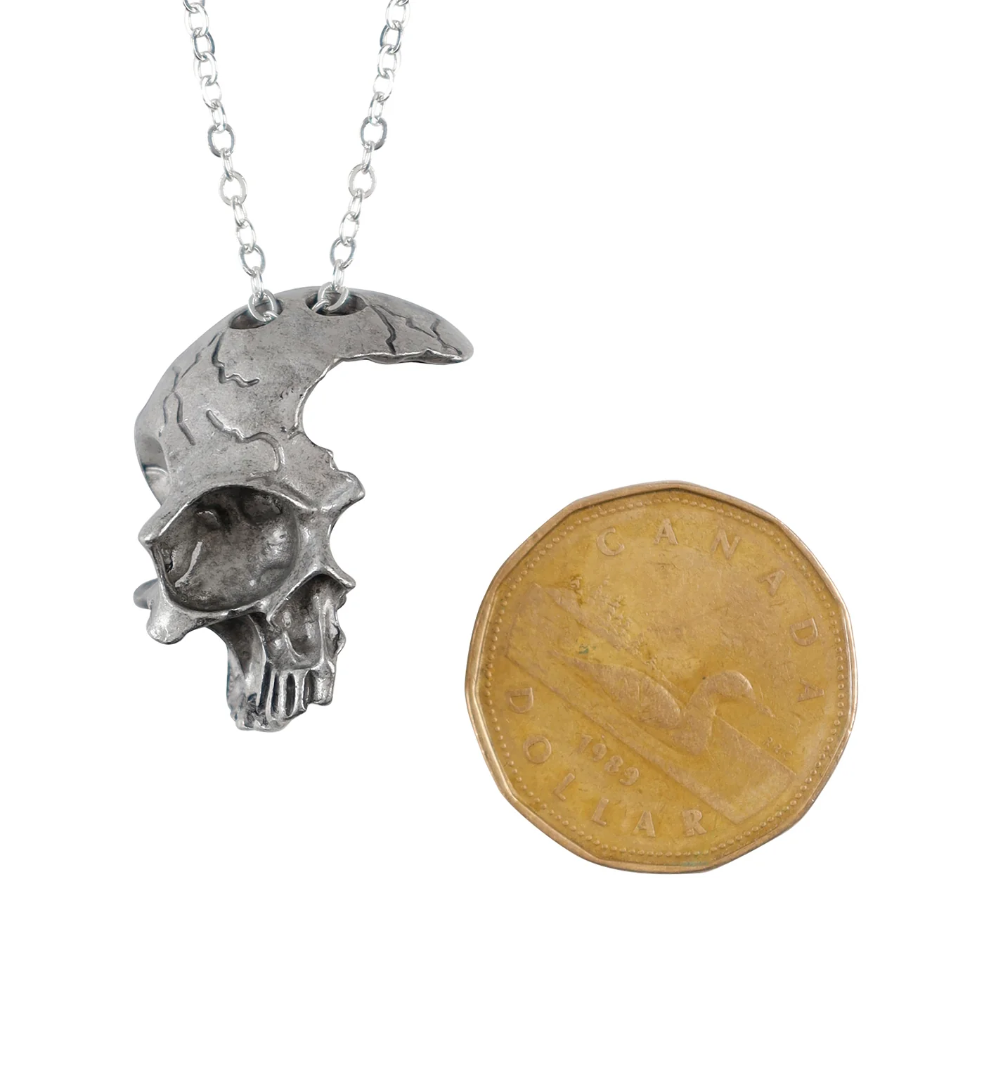 Skull Fragment, Pewter(2E) - Image 2