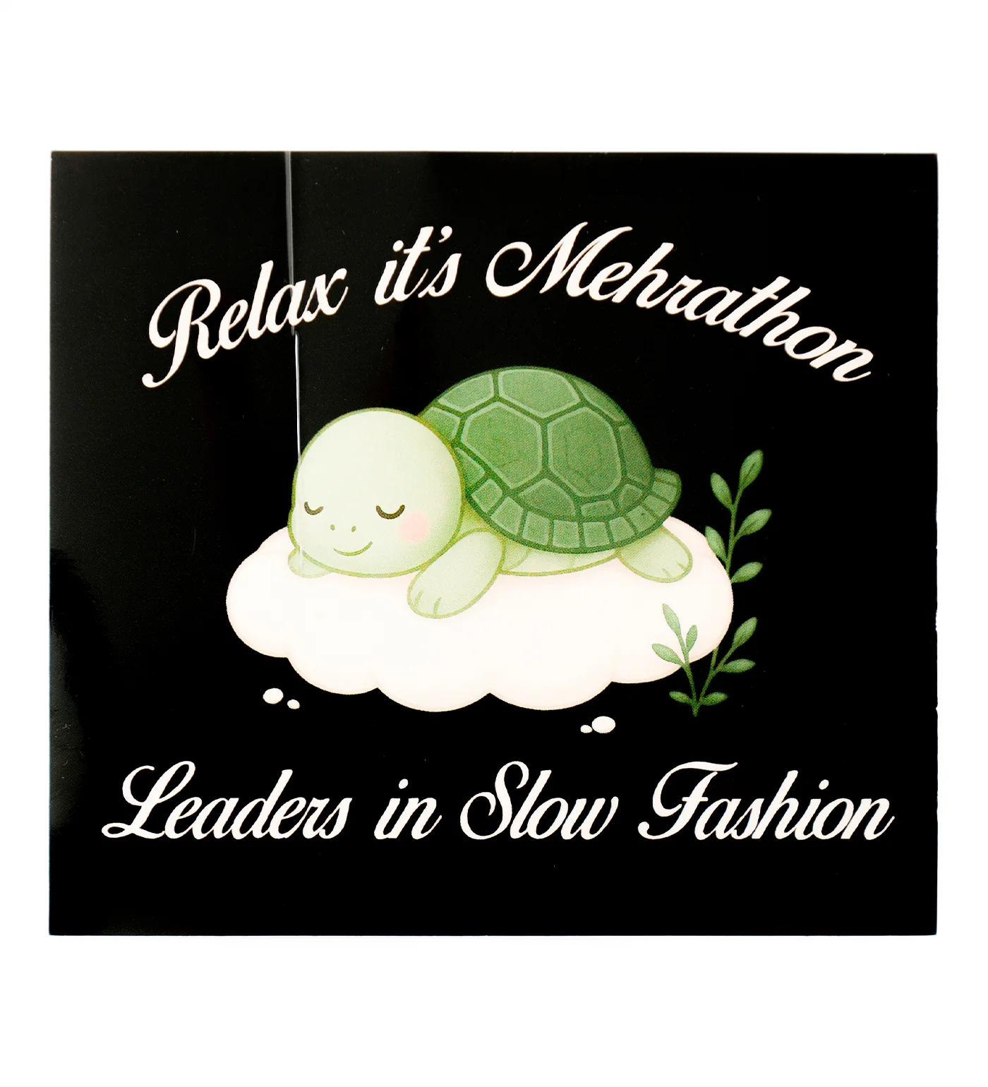 Sleepy Turtle, Multi