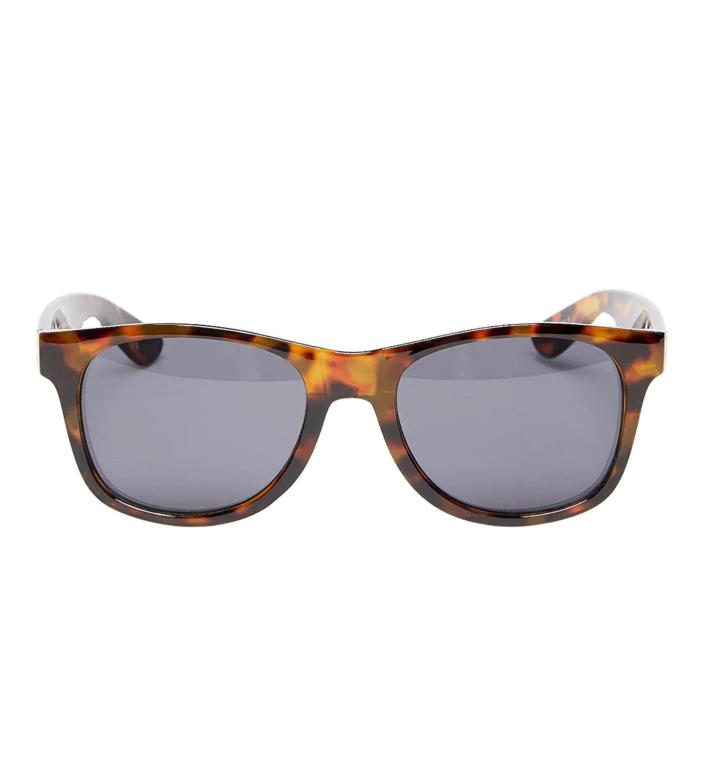 Spicoli 4, Cheetah Tortoise - Image 2