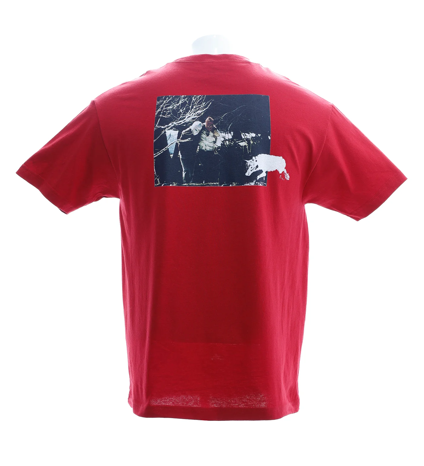 Support, Cardinal - Image 2