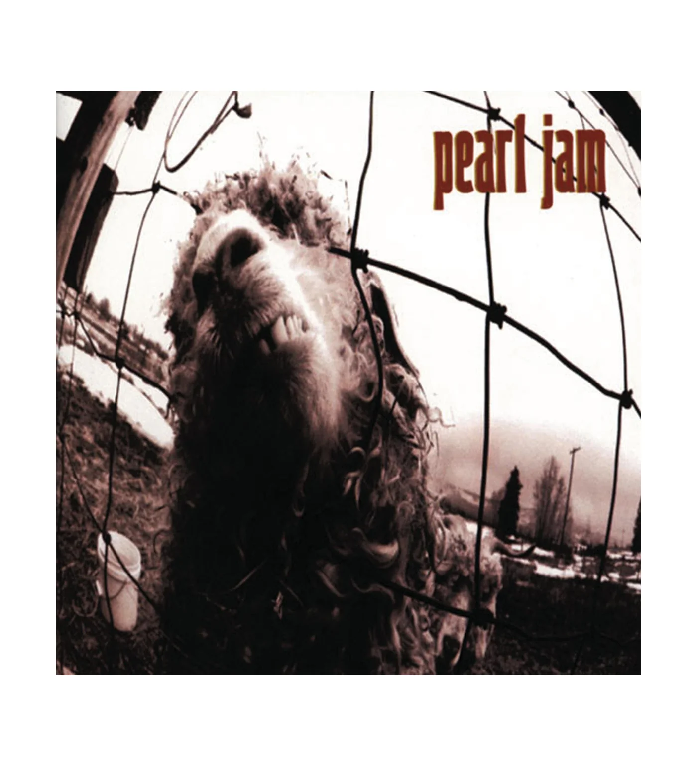 Vs. (30th Clear vinyl Indie exclusive)