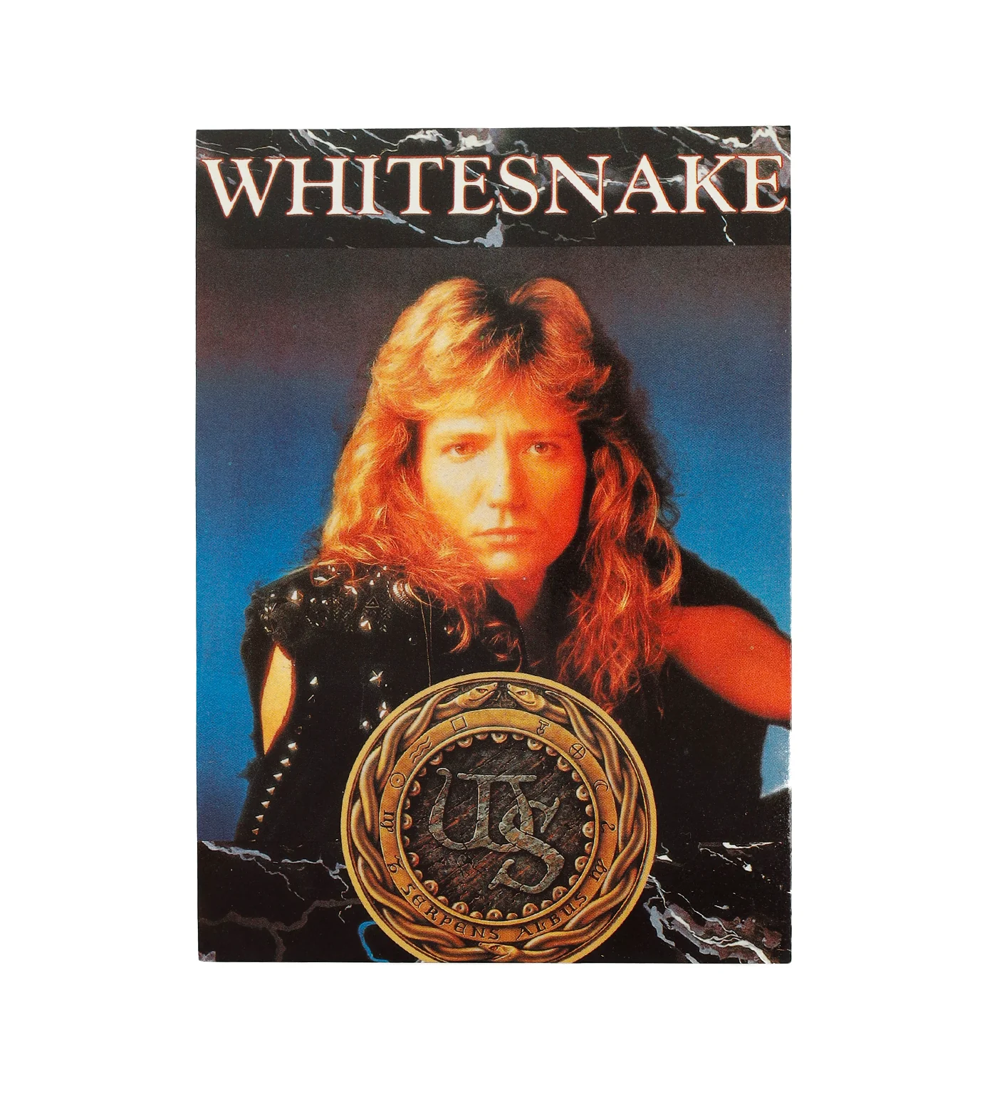 Whitesnake, Multi
